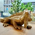 City-apartment Mit Dachterrasse & Massagesessel In Der Fussgaengerzone K4 * Oldenburg