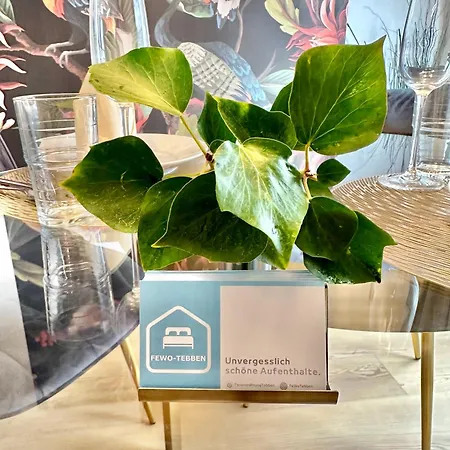 City-apartment Mit Dachterrasse & Massagesessel In Der Fussgaengerzone K4 * Oldenburg